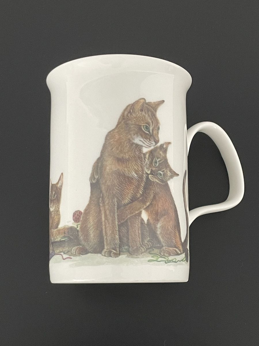Tazze: Tasse Roy Kirkham Cat Lovers  – Usato da Villars-le-Grand venduto da Scaoli