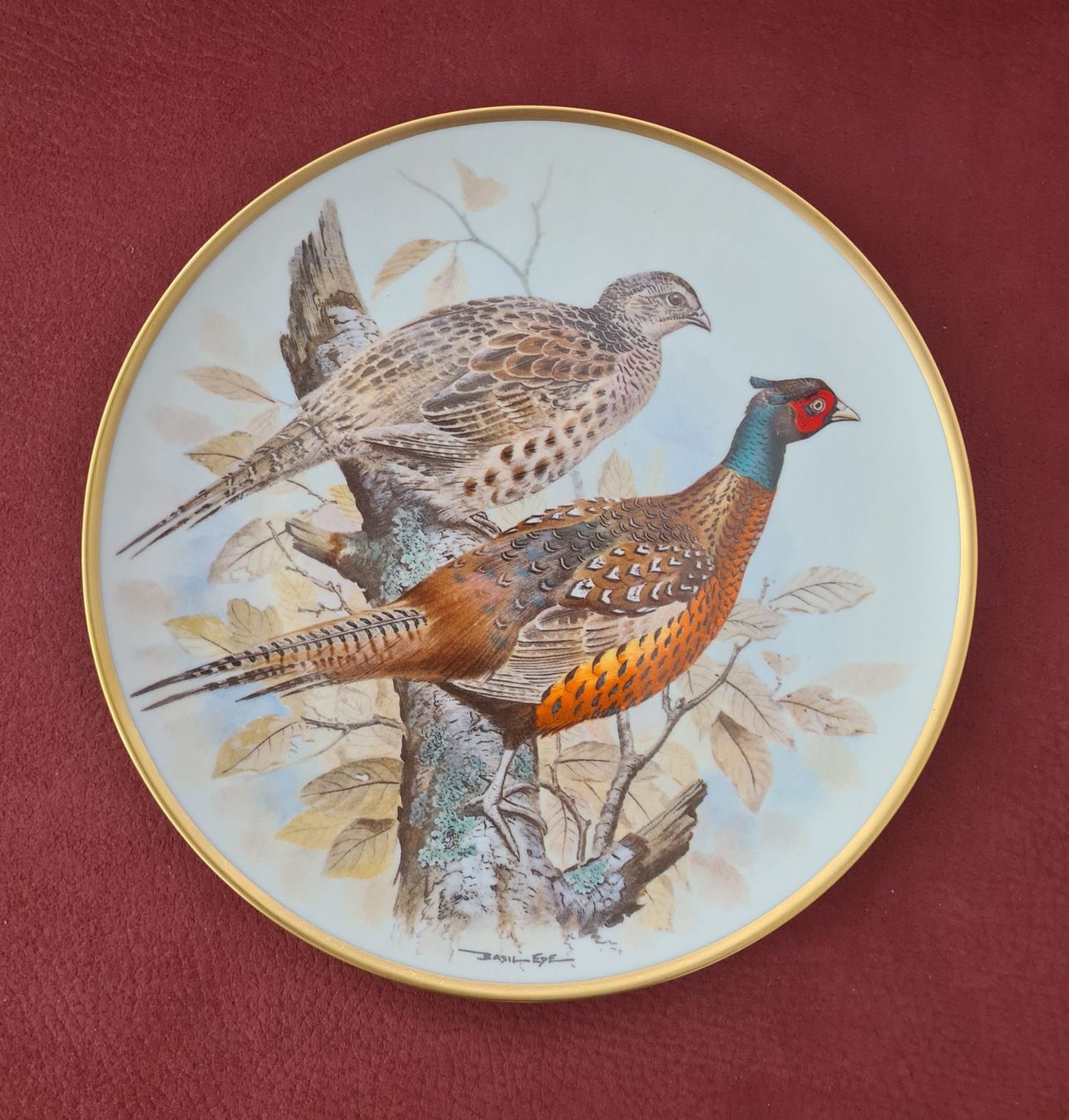 Franklin Mint Piatti: Franklin Porcelain  Teller Common Pheasant Fasan – Nuovo (secondo la descrizione) da Wangen b. Olten venduto da Lady59