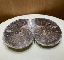 Amoniten Paar aus Marokko