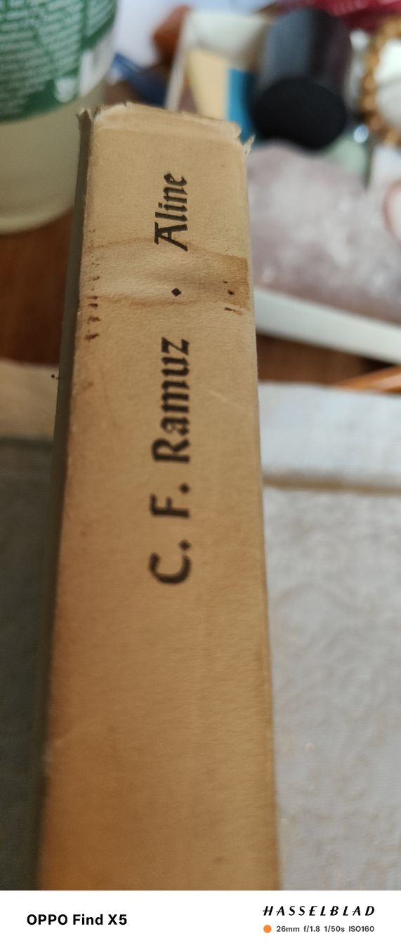 Libri: Aline – Usato da Volken venduto da katz5 1