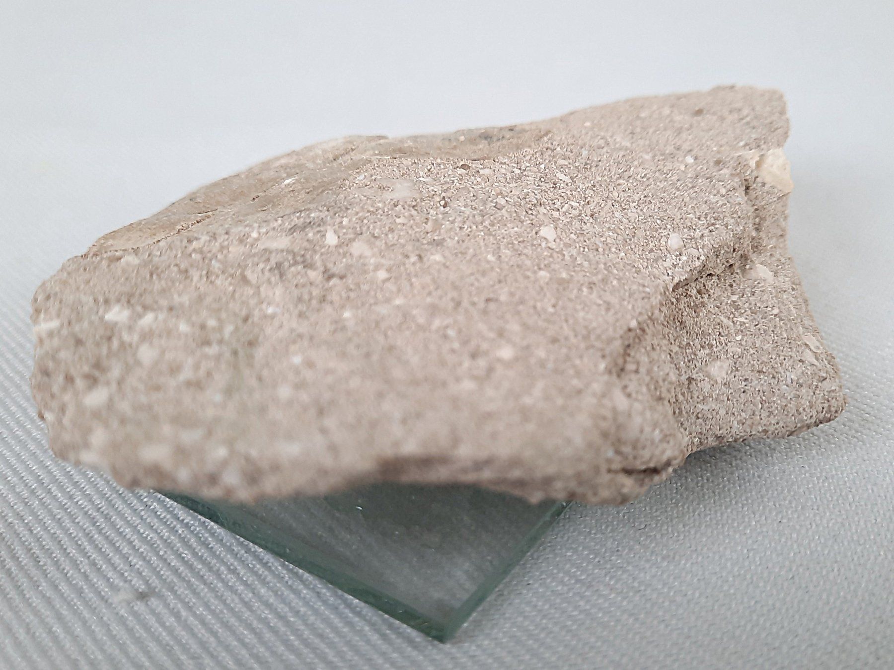 Fossili: Fossiler Haifischzahn und Donnerkeil – Usato da Beinwil am See venduto da Restwert_Beinwil 7