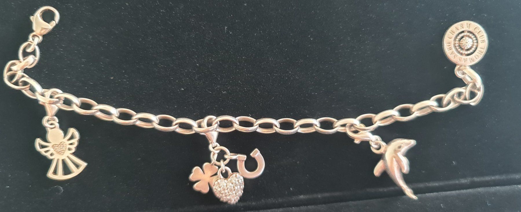 Thomas Sabo Armbänder & -reifen: Armkette von Thomas Sabo Charmed – Gebraucht aus Wollerau von buzle 2