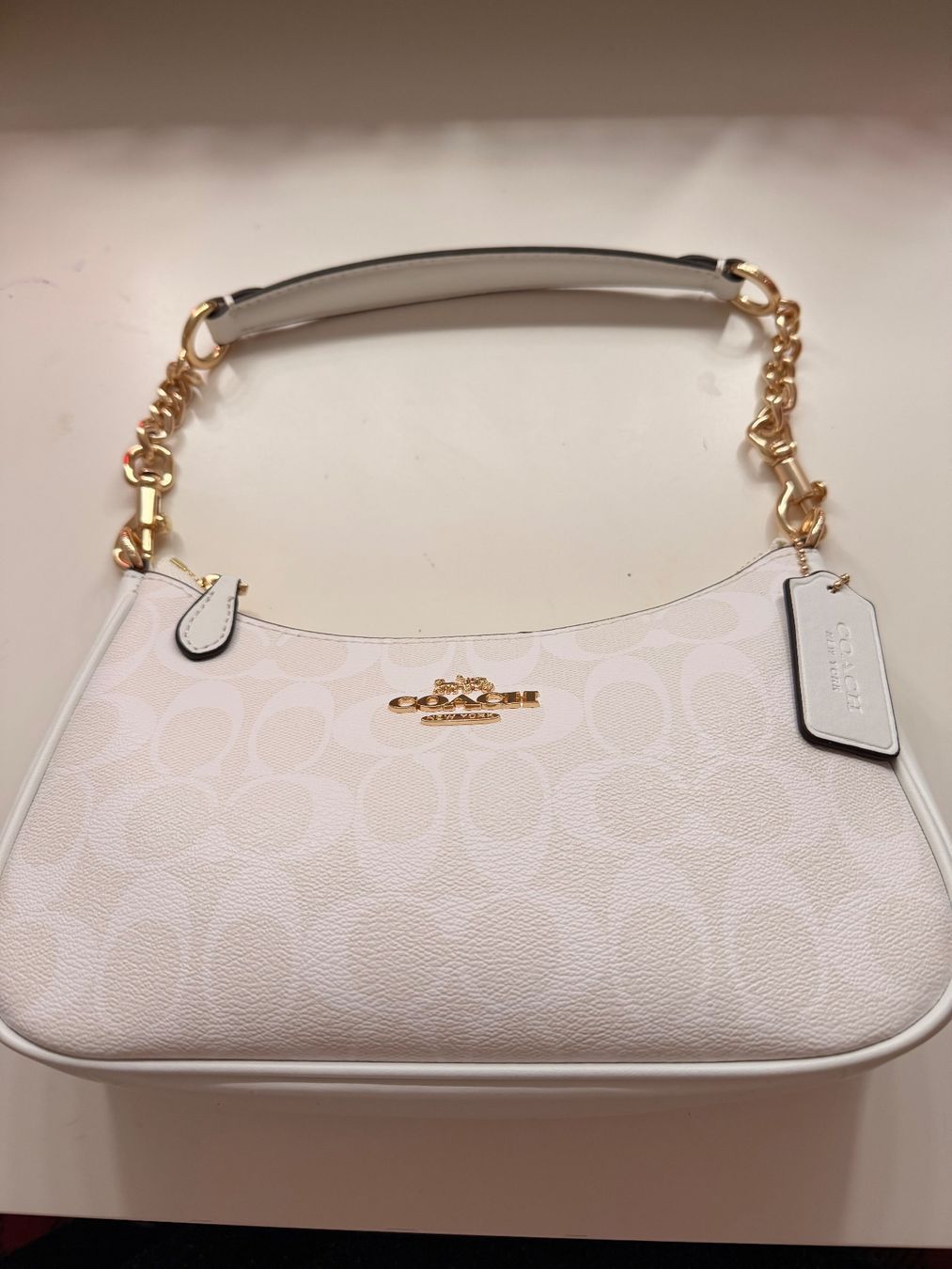 Coach Taschen: Coach Terri bag – Neu (gemäss Beschreibung) aus Kaiserstuhl AG von bai_ytp6 2