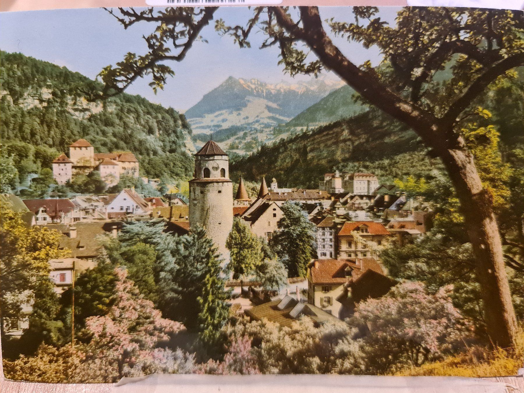 Cartoline postali: Ansichtskarte Feldkirch Voralberg – Usato da Dintikon venduto da Vexi