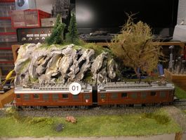 HAG Se 8/8 2 Motoren, Top Zustand! (1)