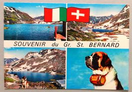 Grand St. Bernard