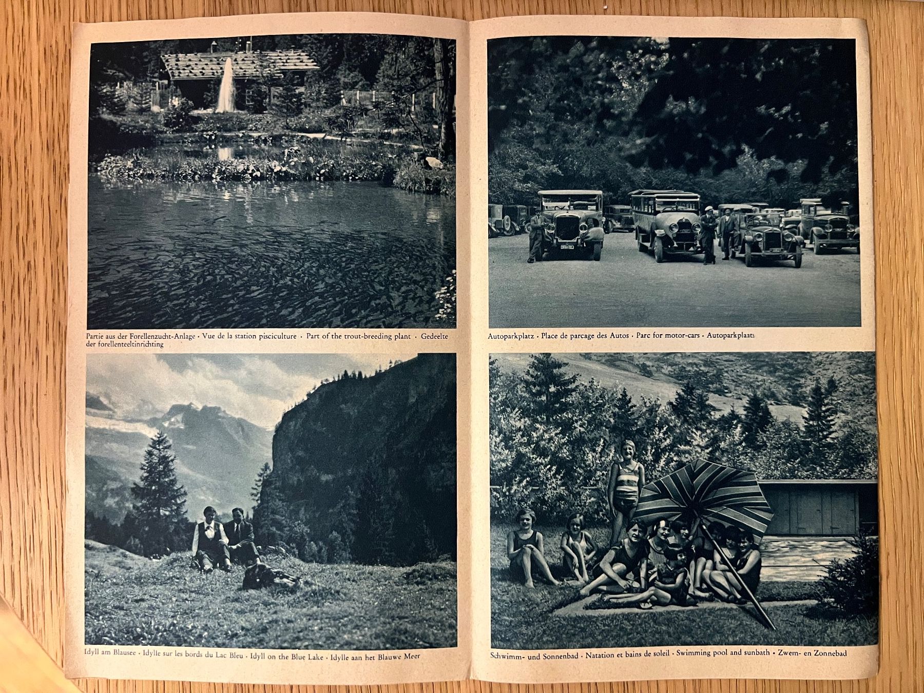 Documenti: Vintage Prospekt Broschüre Blausee – Usato da Zürich venduto da Andawe 1