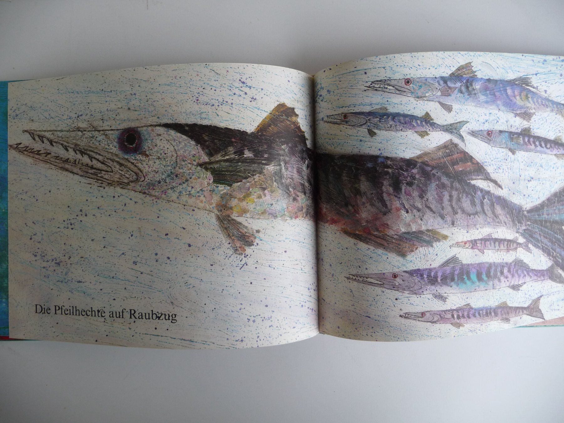 Libri: BRIAN WILDSMITH - FISCHE, ANTIKES KINDERBUCH – Usato da Aesch BL venduto da Imoonlight 4