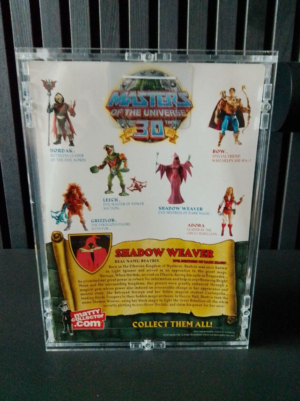 Masters of the Universe Figuren: Masters of the Universe – Neu und originalverpackt aus Strengelbach von Lordschubi 1