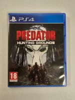 PS4, PlayStation 4, Game, Sony Predator, Hunting Grounds