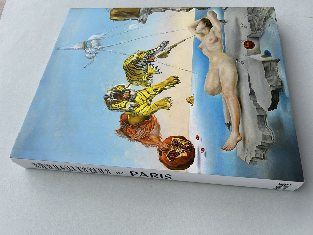 Bücher: Surrealismus in Paris - Kunstbuch Beyeler – Gebraucht aus Zürich von Coffeetable88 7