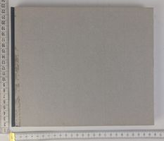 Insania pingens. Kunstbuch/Bildband. Jetzt Entdecken!