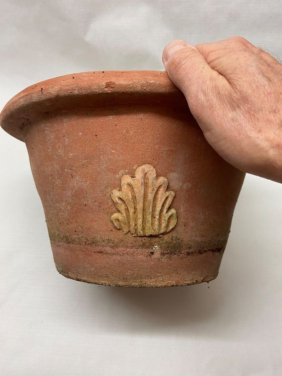 Terrakotta Topf aus Italien | Kaufen auf Ricardo