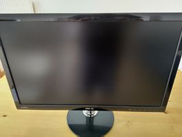 ASUS Monitor 24 Zoll