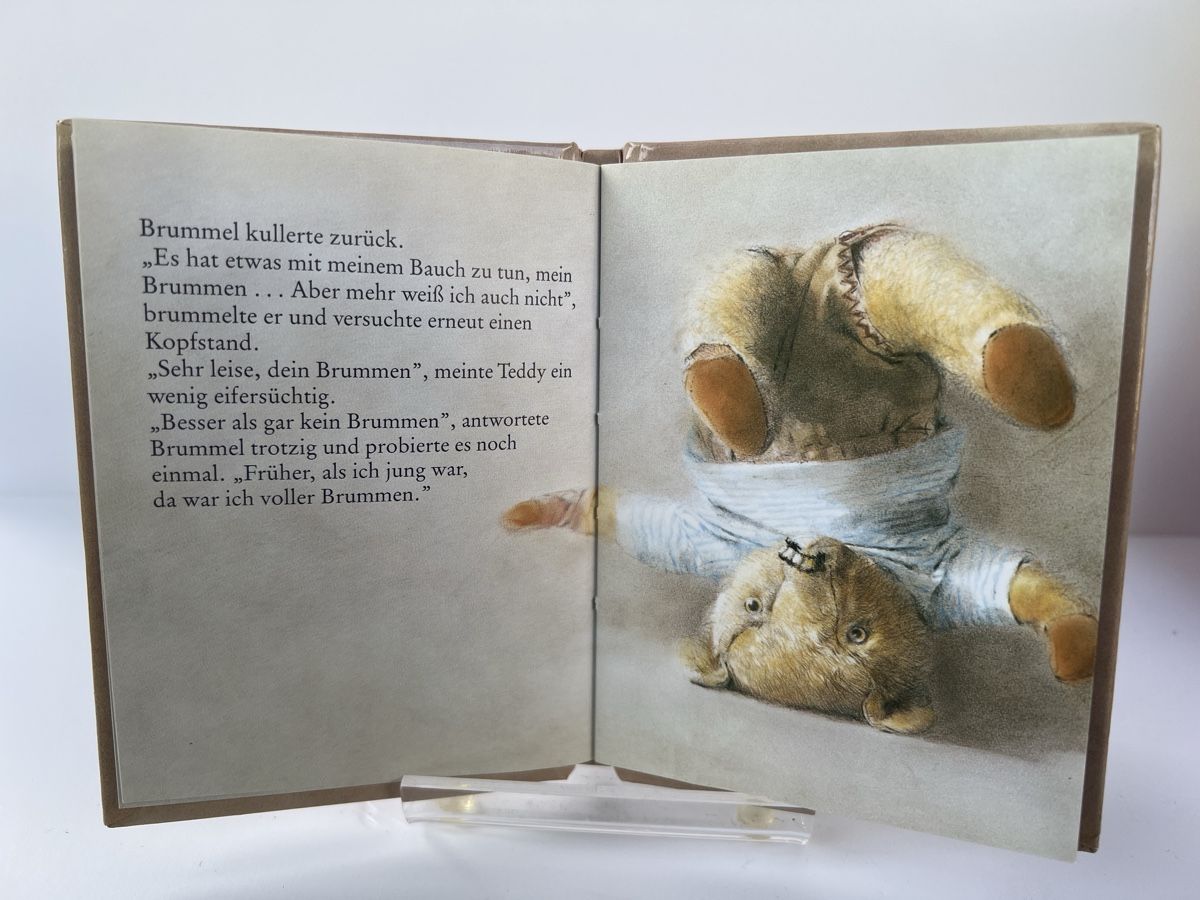 Libri: Kleines Kinderbuch Teddybären unter sich – Nuovo (secondo la descrizione) da Altdorf UR venduto da JanAil 1