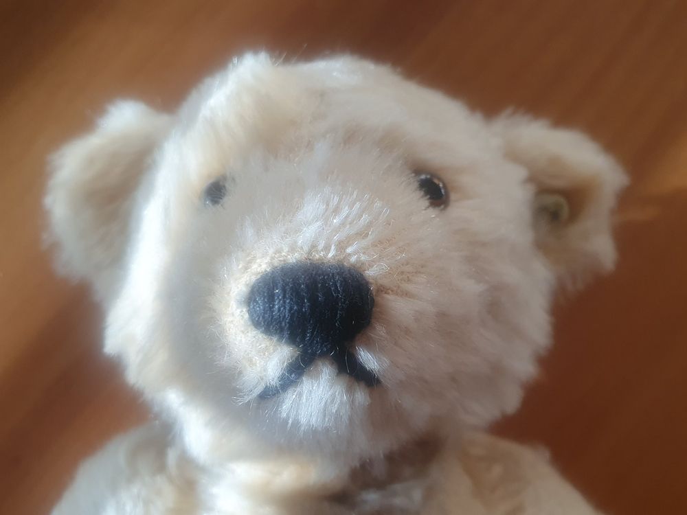 Ours en peluche et doudou Steiff