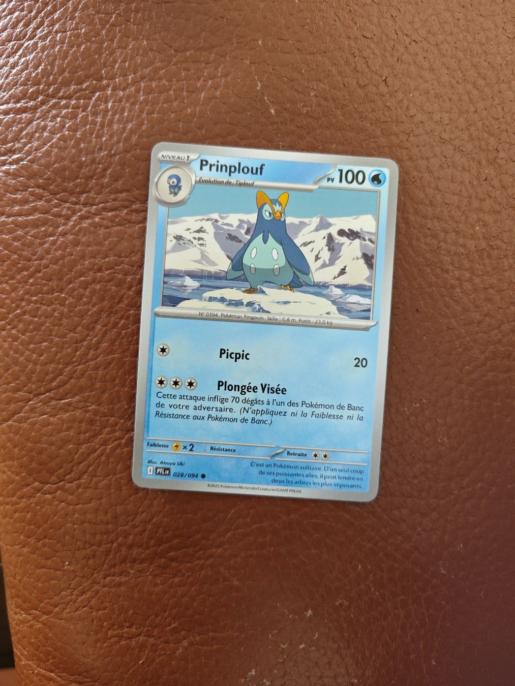 Pokémon Carte collezionabili: Pokémon Prinplouf – Usato da Neuchâtel venduto da nbr_z8jr