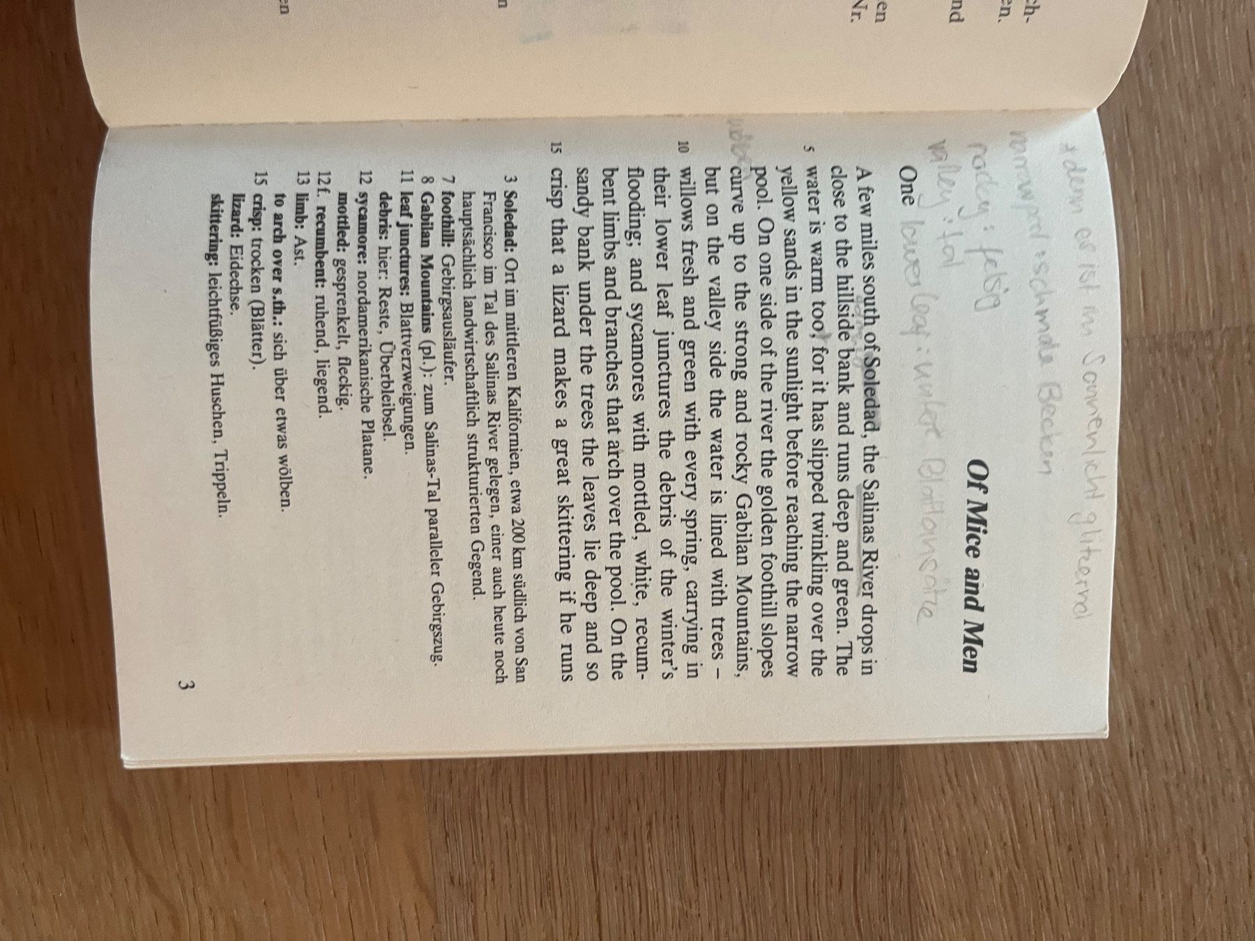 Libri: Of Mice and Men - John Steinbeck – Usato da Laupen BE venduto da lee_ym6v 3