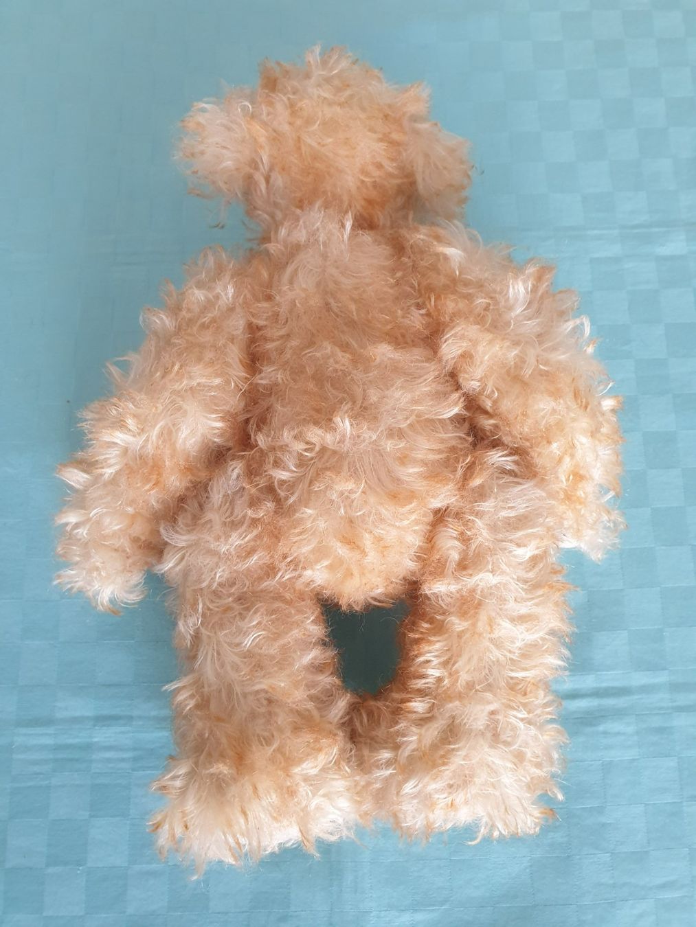 Giocattoli: Teddybär Teddy Be's Hombi Bären Sugar – Usato da Mörschwil venduto da spirspi 5