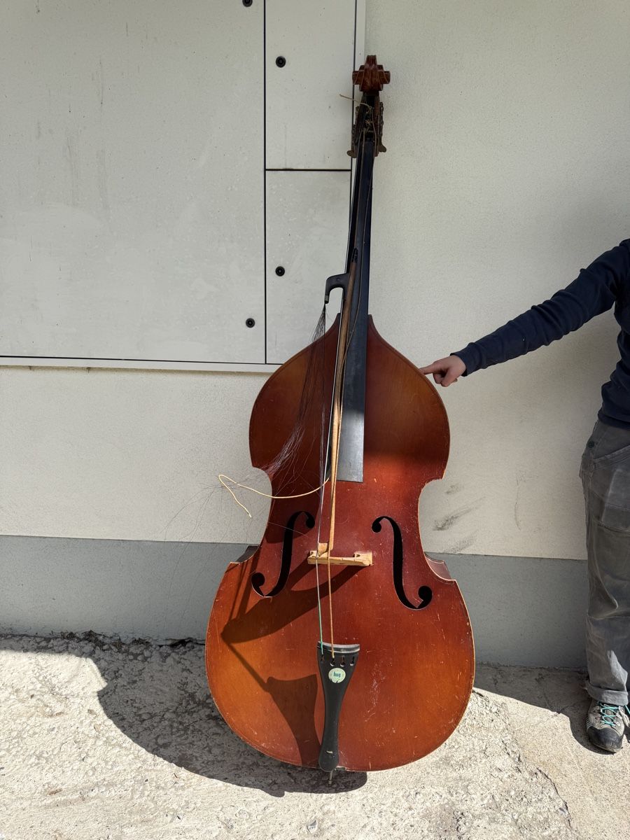 Strumenti musicali: Kontrabass – Difettoso da Birrhard venduto da lajasminelle