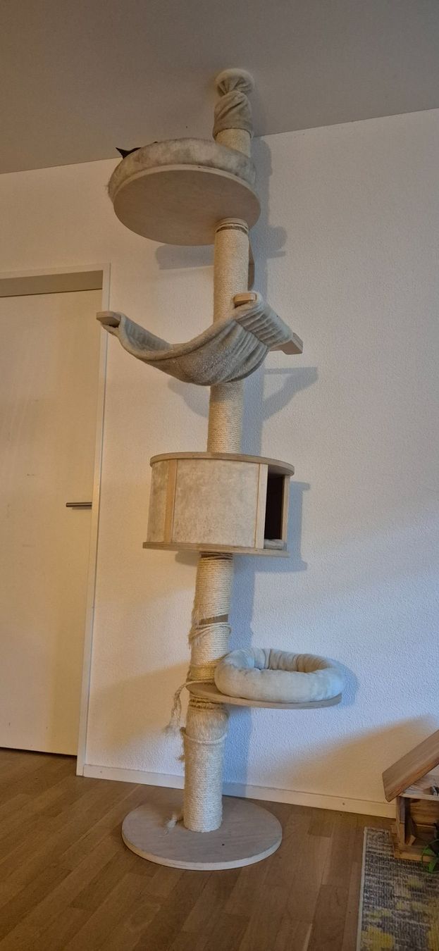 Tiragraffi: Katzenbaum neu – Nuovo e nell'imballaggio originale da Walenstadt venduto da fab_2cbl 1