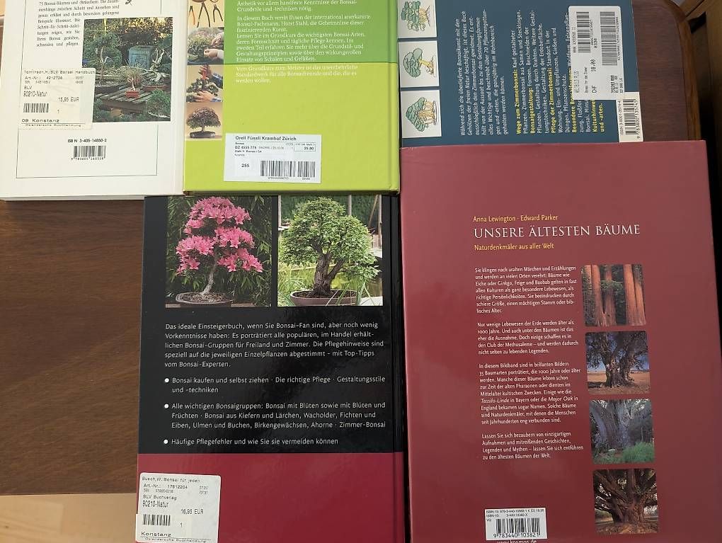 Libri: Bonsai Bücher + Die ältesten Bäume – Usato da Tobel venduto da Streetfroggy 1