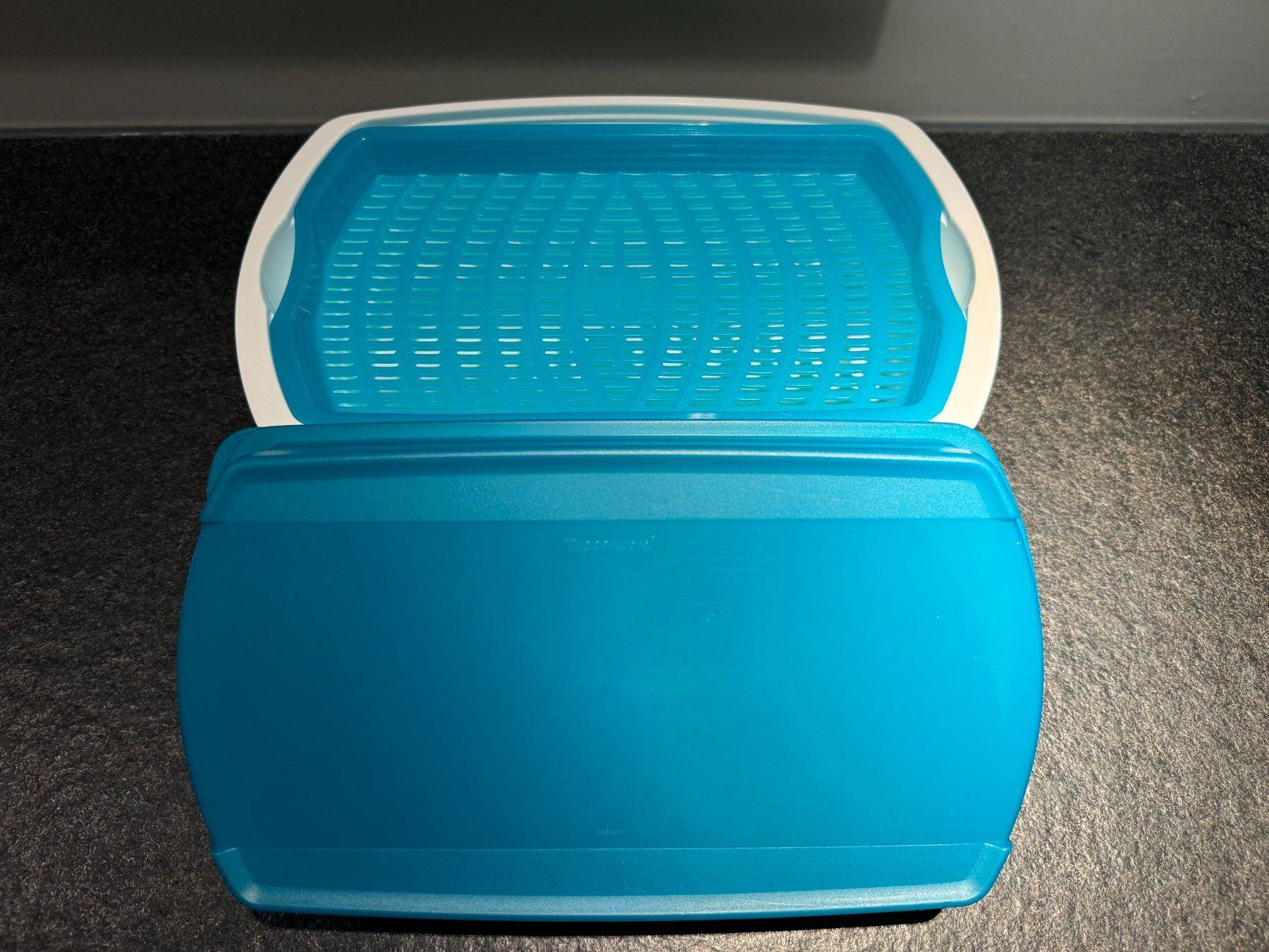 Tupperware Contenitori & Simili: Tupperware Fuor Season Frischebehälter – Usato da Schönenberg an der Thur venduto da ottawa06 4