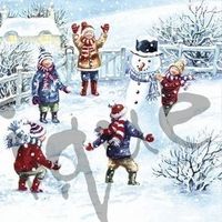 Serviette snowfun (1464) 2Stk.