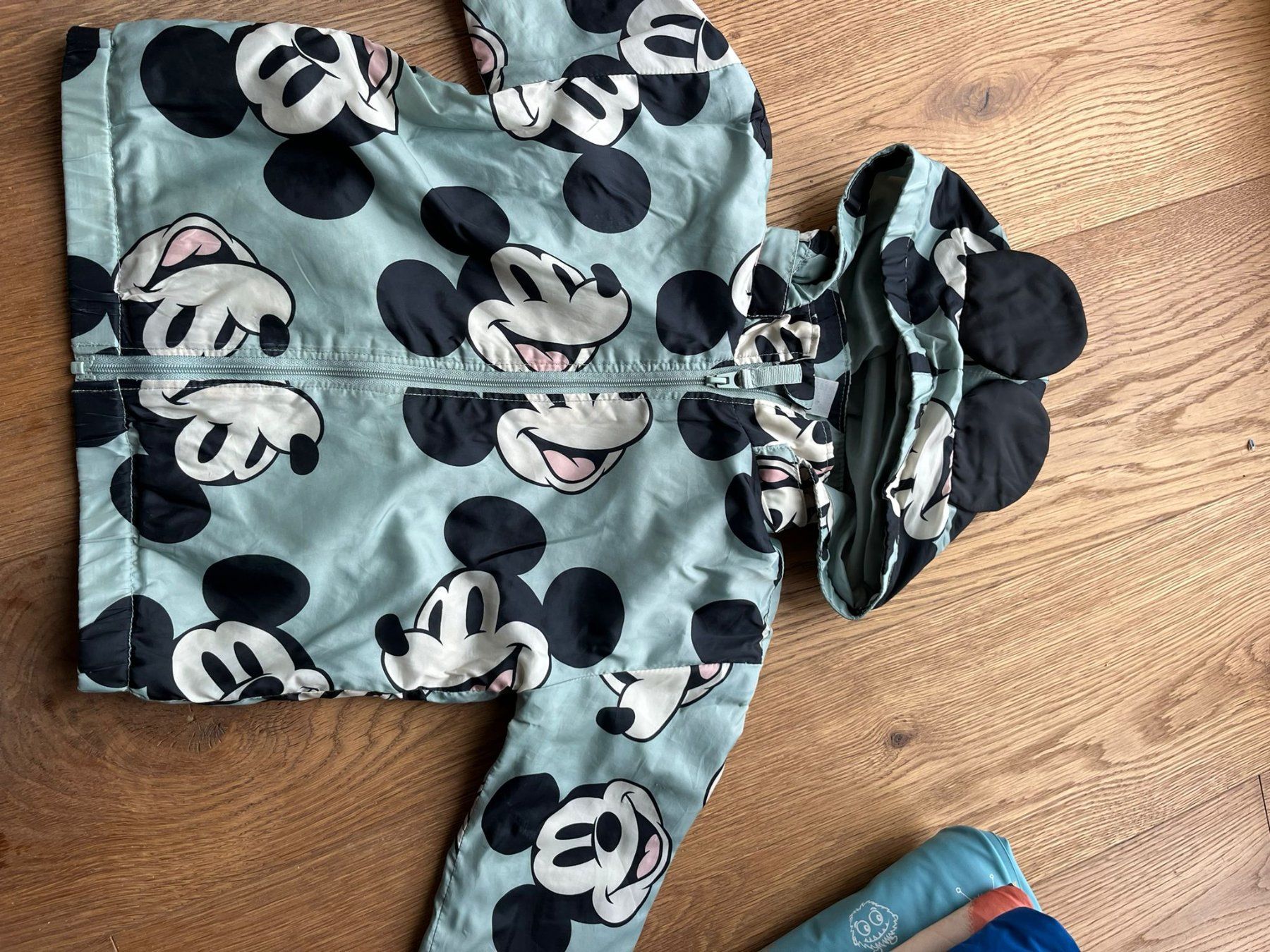 H&M Giacche & Cappotti: HaM Jacke 92 – Usato da Merenschwand venduto da ter_5tgt