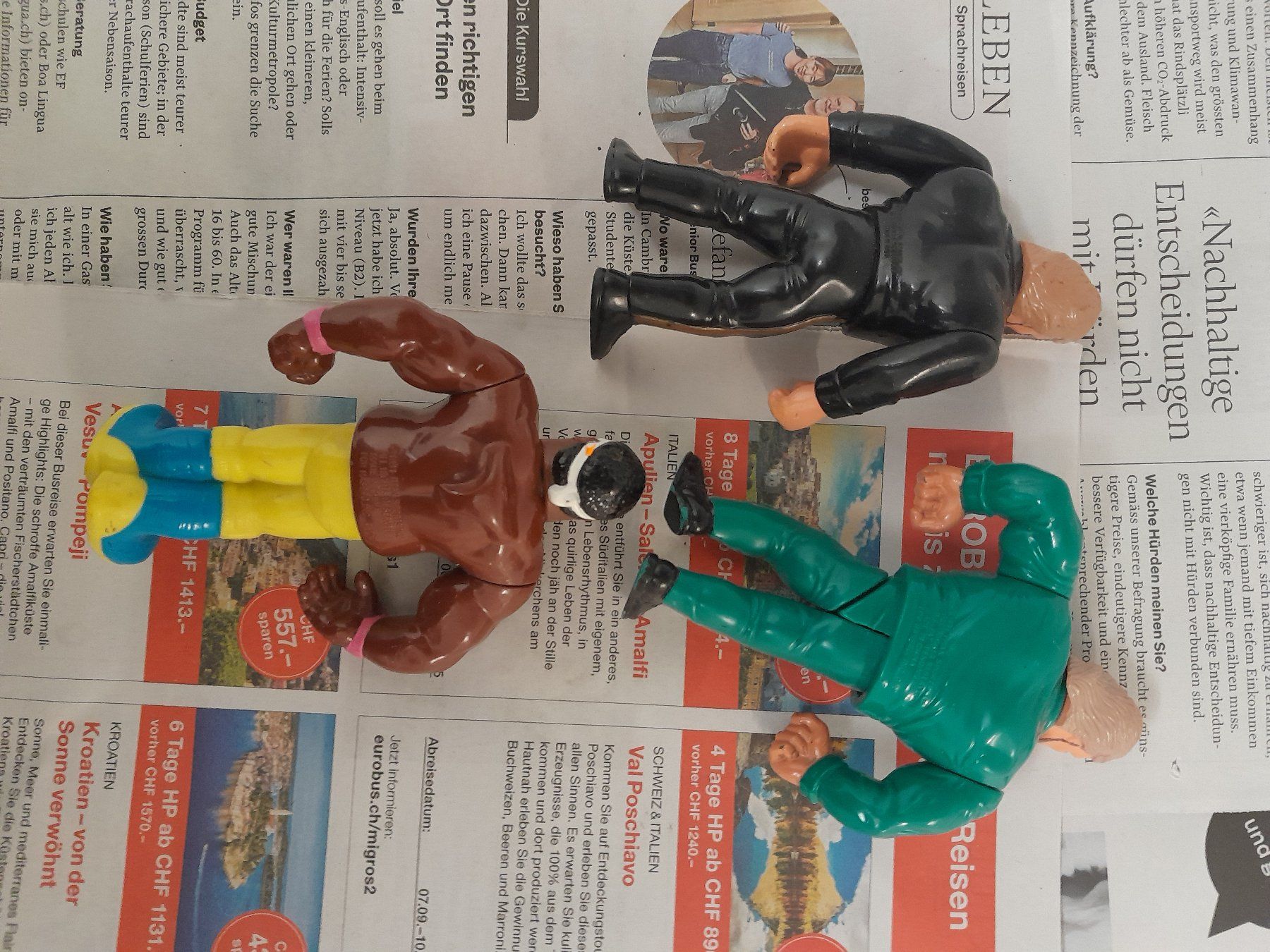 Statuette: WWF Figuren – Usato da Rüti ZH venduto da Alemanni 4