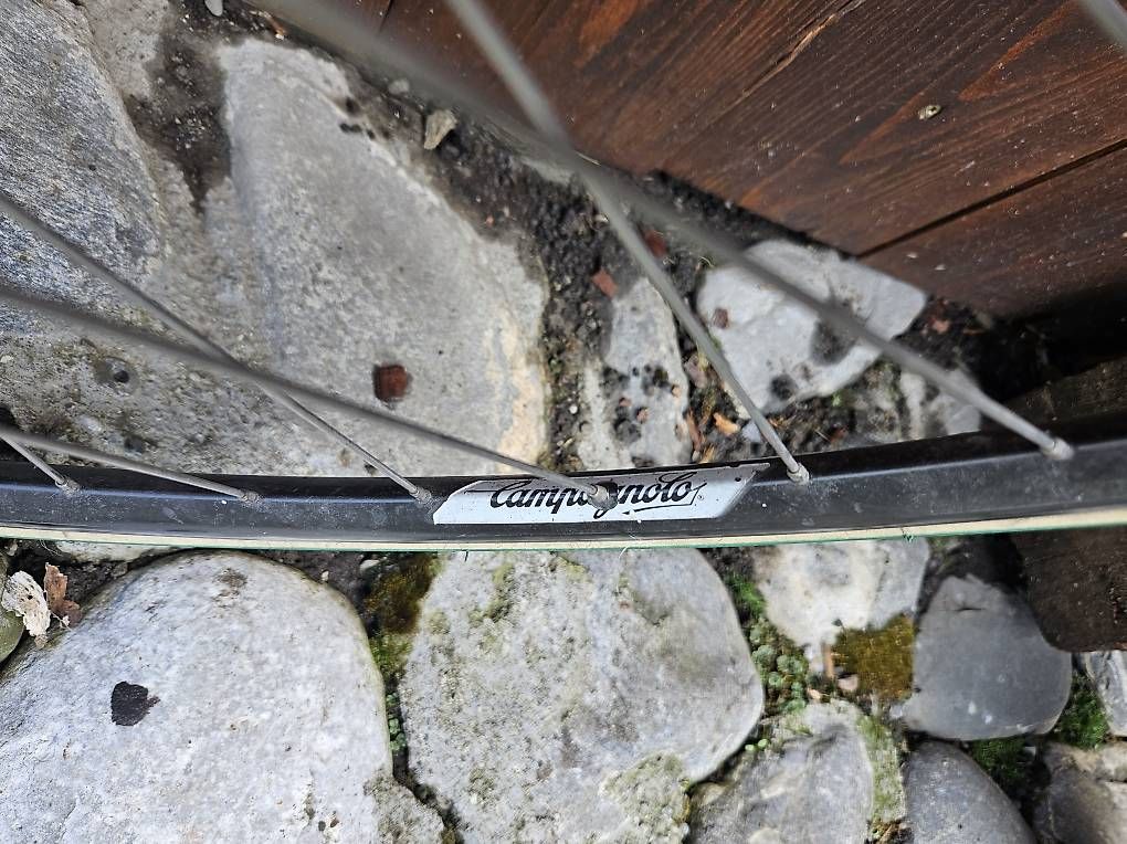 Biciclette: Rennvelo  – Usato da Cazis venduto da Morrisb 2