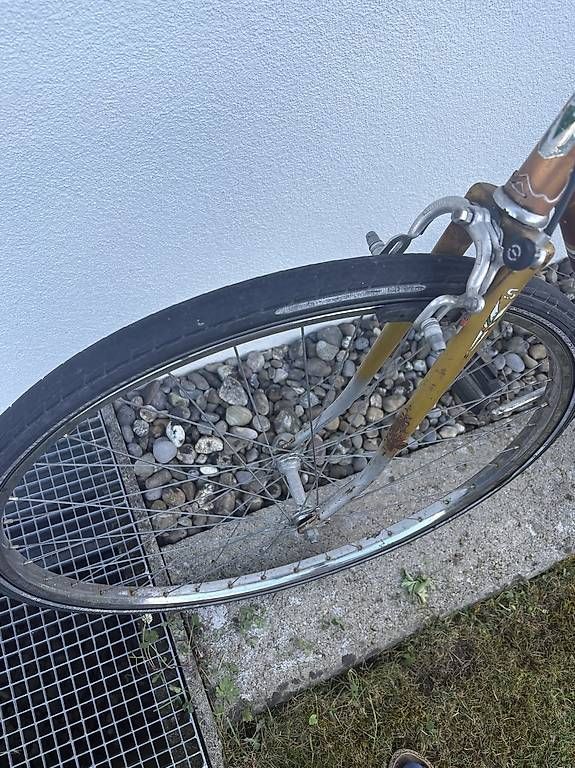 Biciclette: Singlespeed Velo Stadtvelo Rennvelo – Usato da Rüschlikon venduto da kat_td6h 3