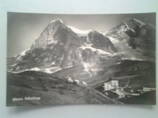 Cartoline postali: Kleine Scheidegg – Usato da Sargans venduto da nicsam1815