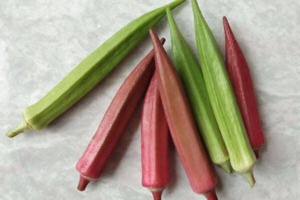 Piante & sementi: OKRA rot, Burgundy/ 10 Samen – Nuovo (secondo la descrizione) da Hinteregg venduto da ERFOLG78 1