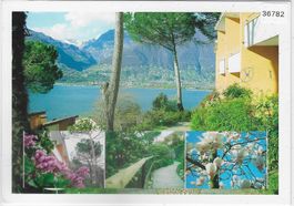 Hotel Bellavista - Vira-Gambarogno
