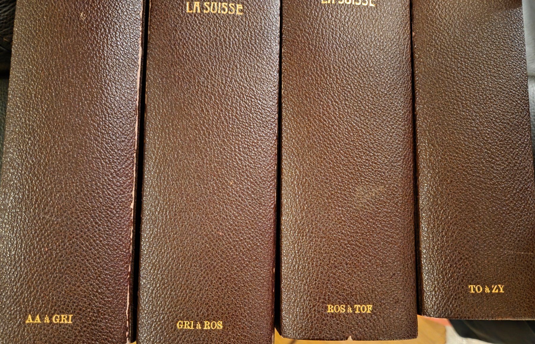 Libri: Dictionnaire géographique de la Suisse – Usato da Confignon venduto da Tibinhosfc 4