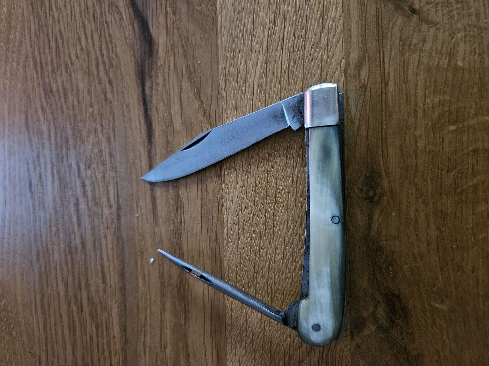 Coltelli tascabile: Taschenmesser mit Hornschalen – Usato da Bern venduto da Respirit 6