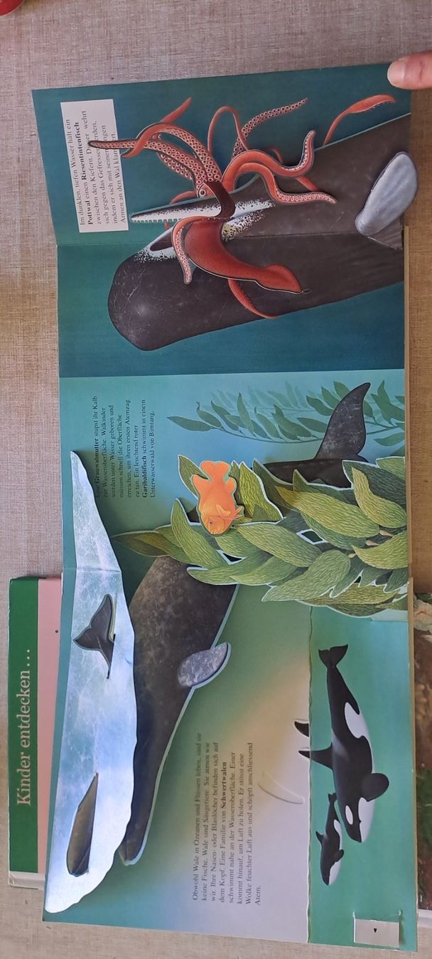 Libri: Wale und dinosaurier buch – Usato da Bitsch venduto da jajo79076 2