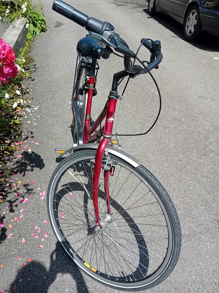Vélos: Velo – Défectueux à Chur par jk.84 1