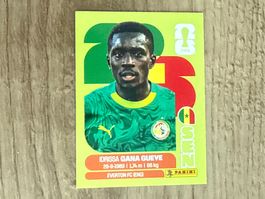Panini FIFA WM 2026 Sticker Idrissa Gana Gueye SEN 9