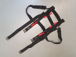 Traggurtsystem, Transport Rack CARRYBELT - NEU, Schnäppchen!