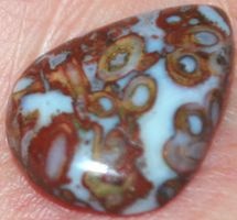 Cabochon L-3425 – Palmwurzel Achat 21x15mm