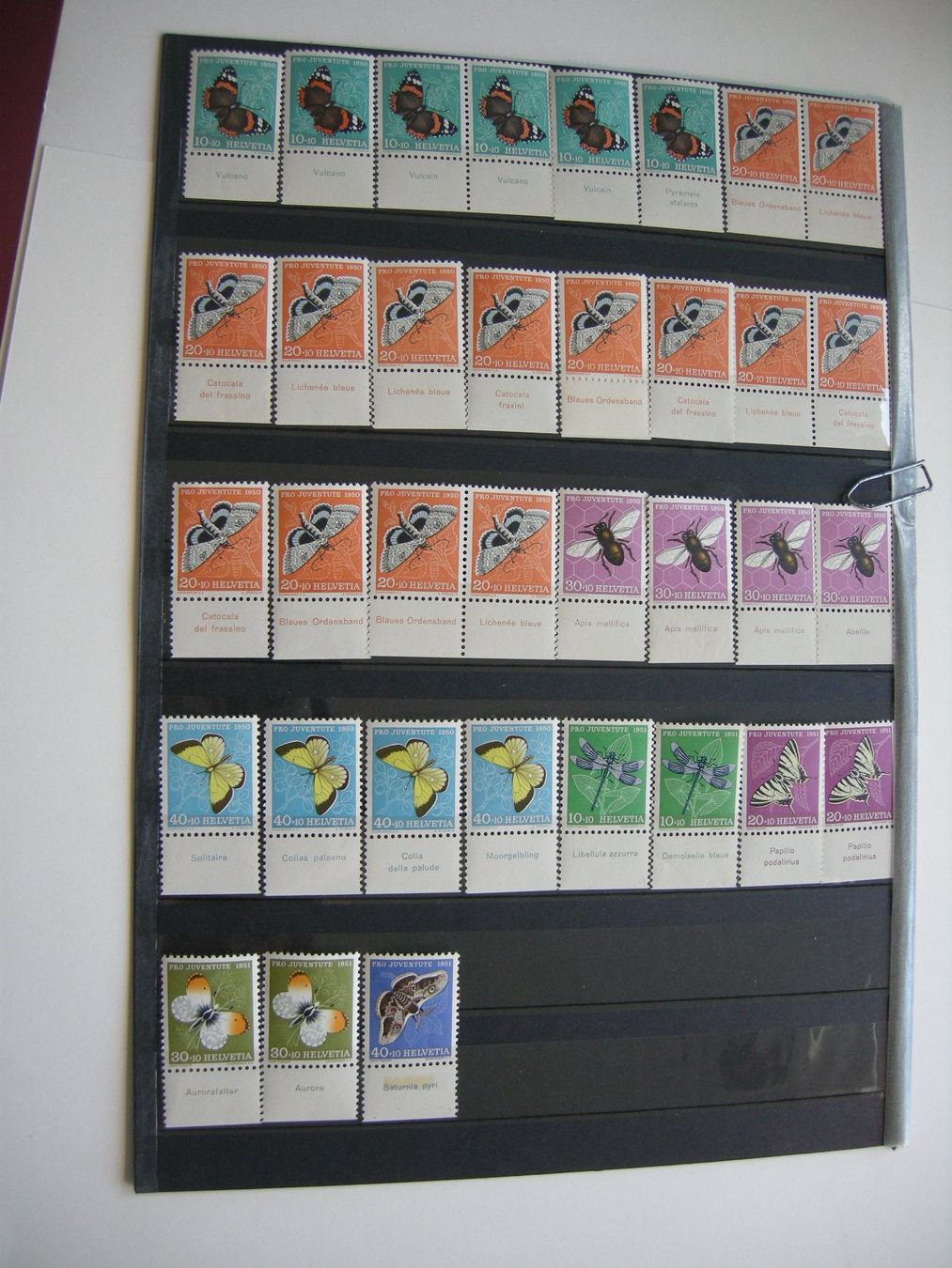 Tutti i francobolli: 1950/1951, PRO JUVENTUITE TABS, RESTLOT POSTFRISCH/** – Usato da Rüti ZH venduto da jupi1945