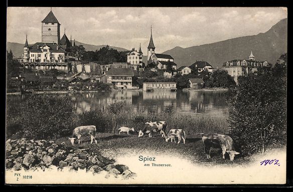 Cartoline postali: AK Spiez, Ortsansicht – Usato da Berlin venduto da bartko-reher
