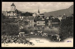 AK Spiez, Ortsansicht