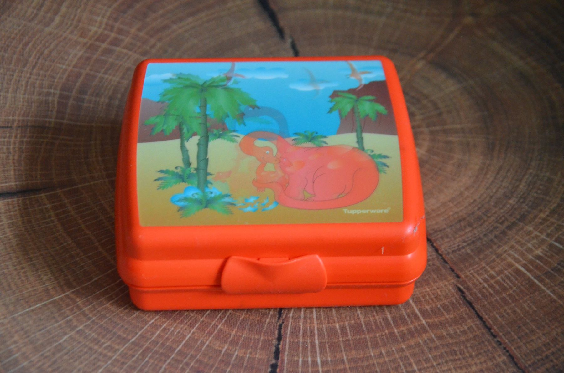Piatti: KINDER PIC NIC TUPPERWARE – Usato da Chiasso venduto da Dolly015