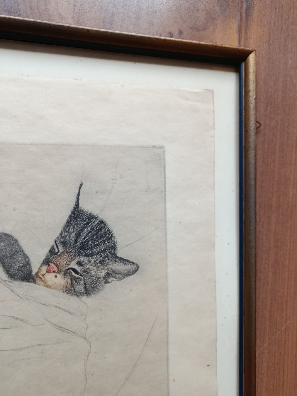 Gemälde: Guido Grünewald Katze Radierung – Gebraucht aus Riehen von twentymodern 3