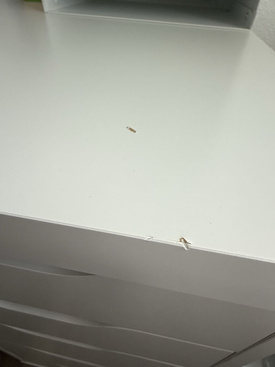 Ikea Bureaux: Ikea Schreibtisch Lagkapten/Alex  – Neuf (Voir description) à Bischofszell par fra_nw75 1