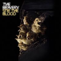 The Bravery - Stir The Blood