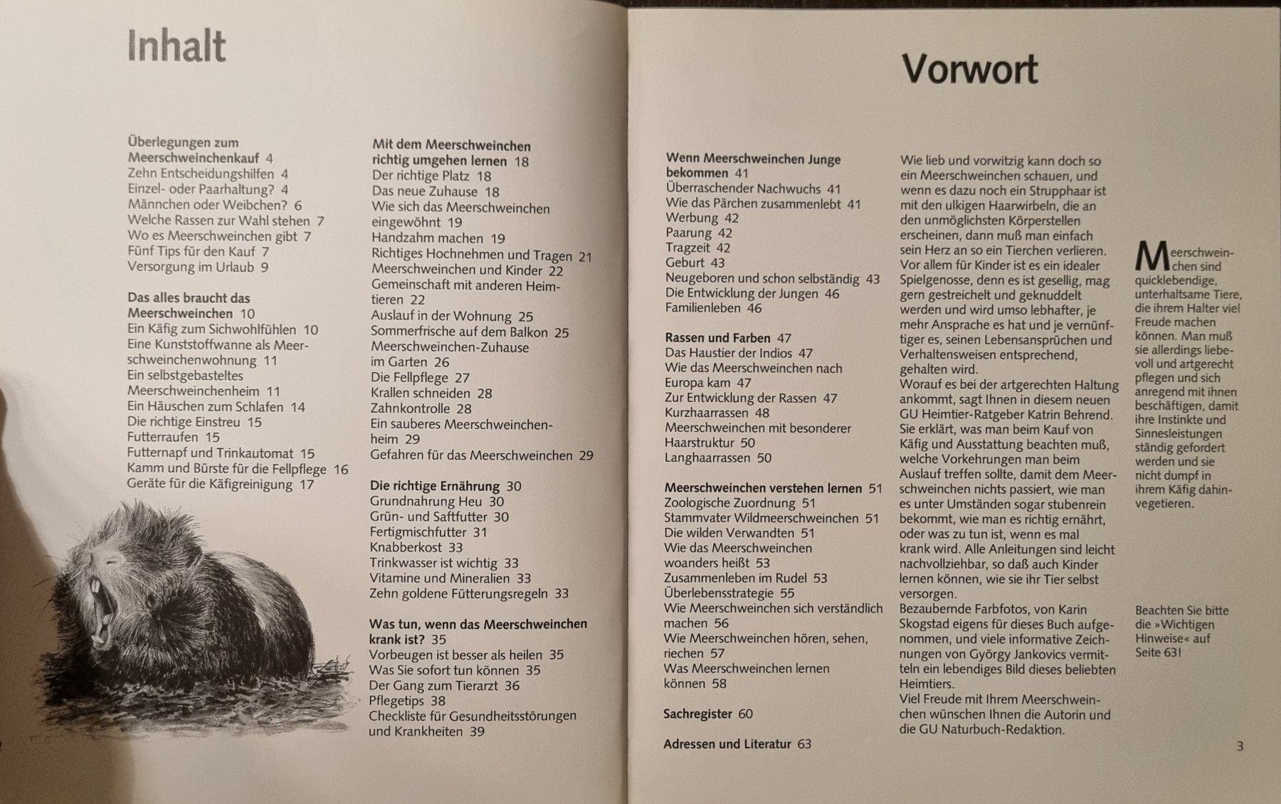Bücher: Buch Tier-Ratgeber Meerschweinchen – Gebraucht aus Sutz von Rawypp 2